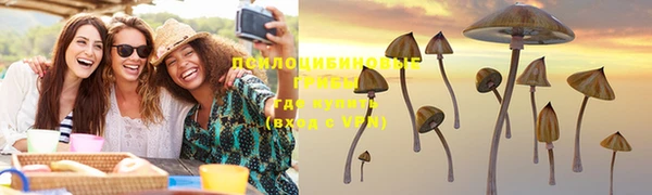 бошки Яровое